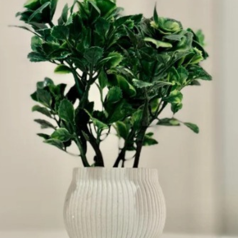 Miniature Tree planter for Home and Office Decor