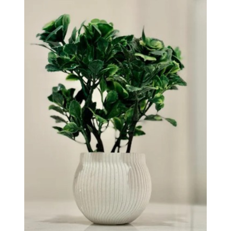 Miniature Tree planter for Home and Office Decor