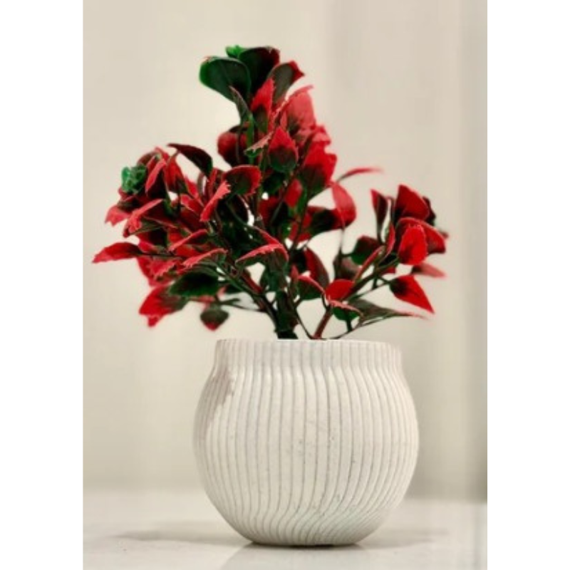 Miniature Tree planter for Home and Office Decor - Red Rose