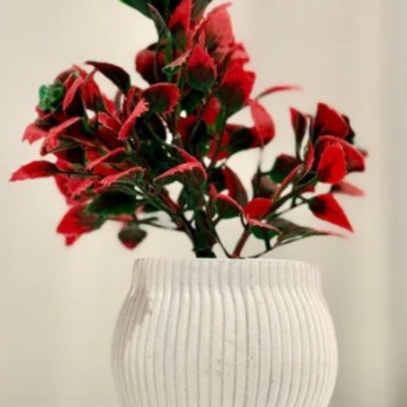 Miniature Tree planter for Home and Office Decor - Red Rose